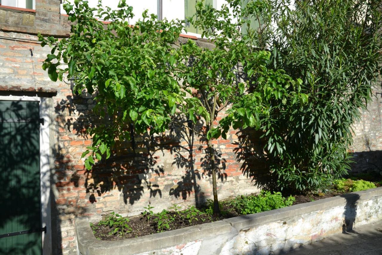 Apartamento Ca' Ermina&Garden Venecia Exterior foto